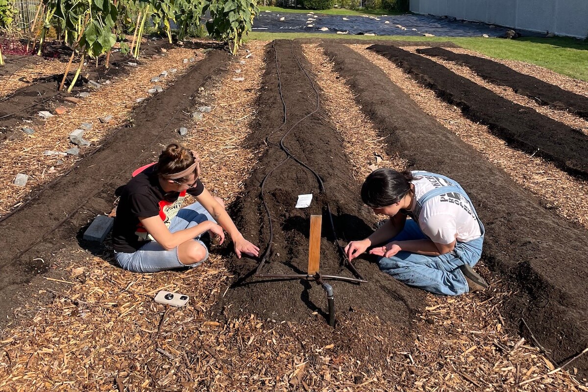 Emily Mulroney working on a project garden - RRU Budh Singh and Kashmir Kaur Dhahan Scholarship scholarship recipient