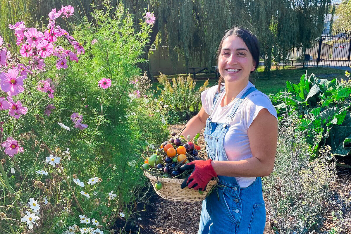 Emily Mulroney harvesting from a garden - RRU Budh Singh and Kashmir Kaur Dhahan Scholarship scholarship recipient